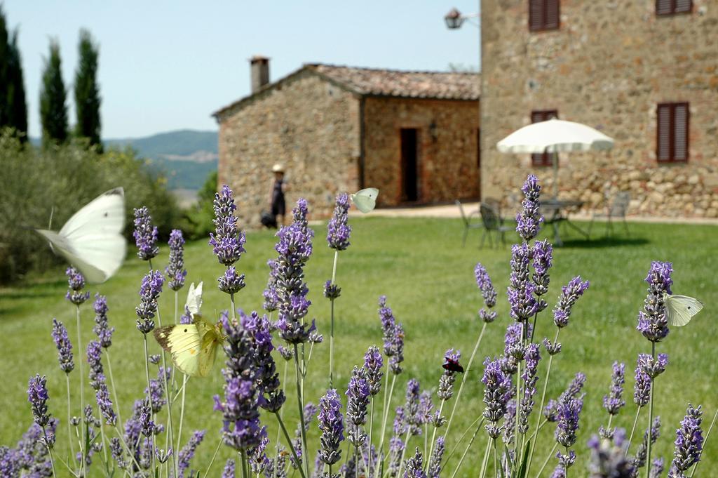 Tenuta Casabianca Murlo Oda fotoğraf