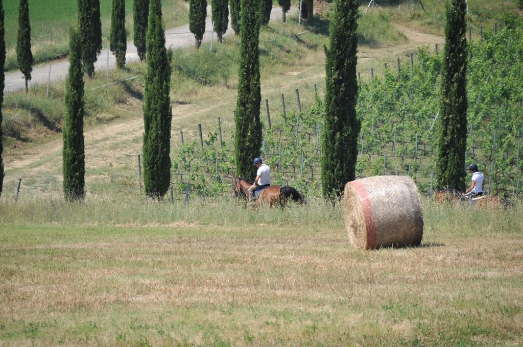 Tenuta Casabianca Murlo Dış mekan fotoğraf