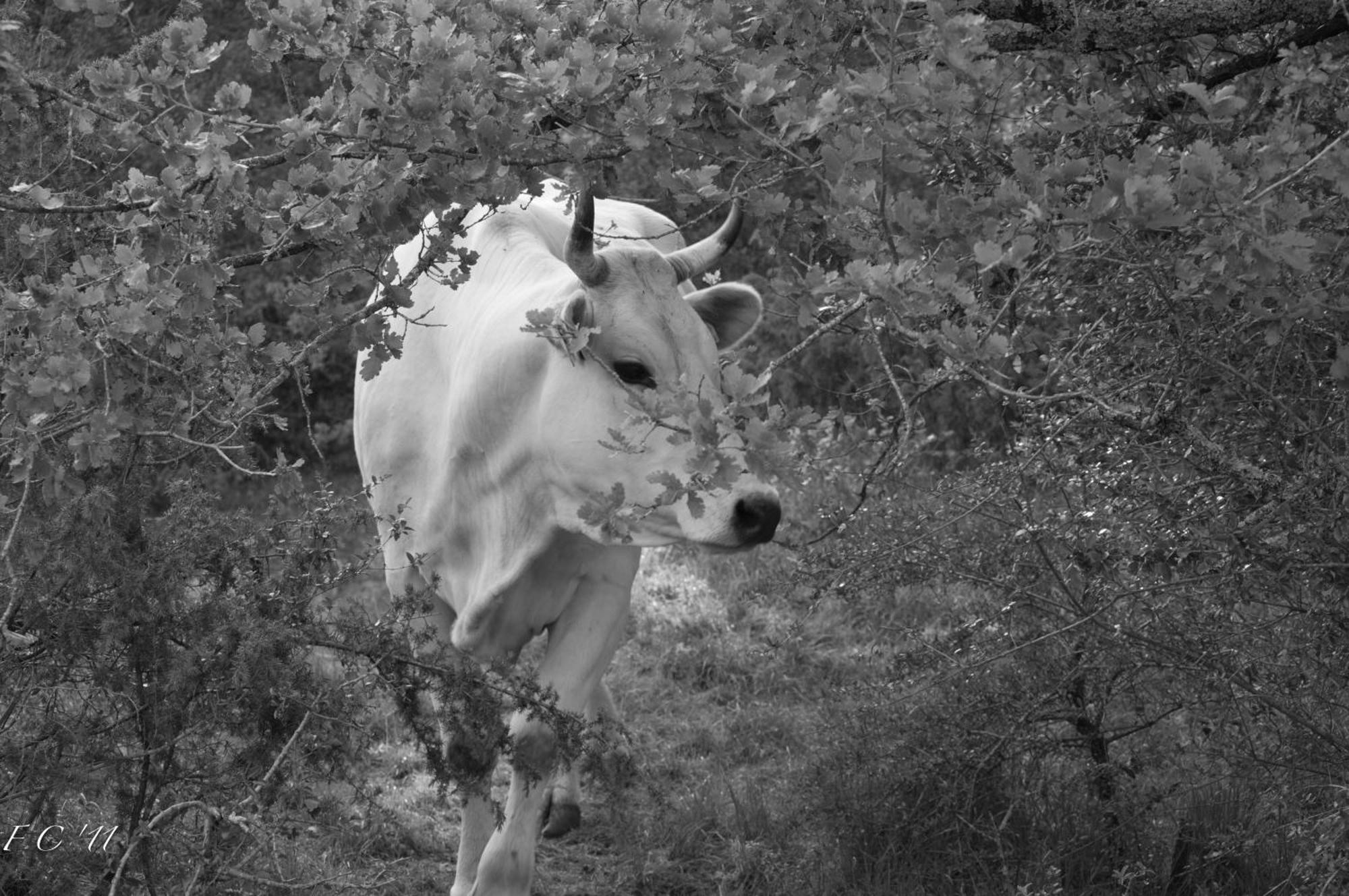 Tenuta Casabianca Murlo Dış mekan fotoğraf
