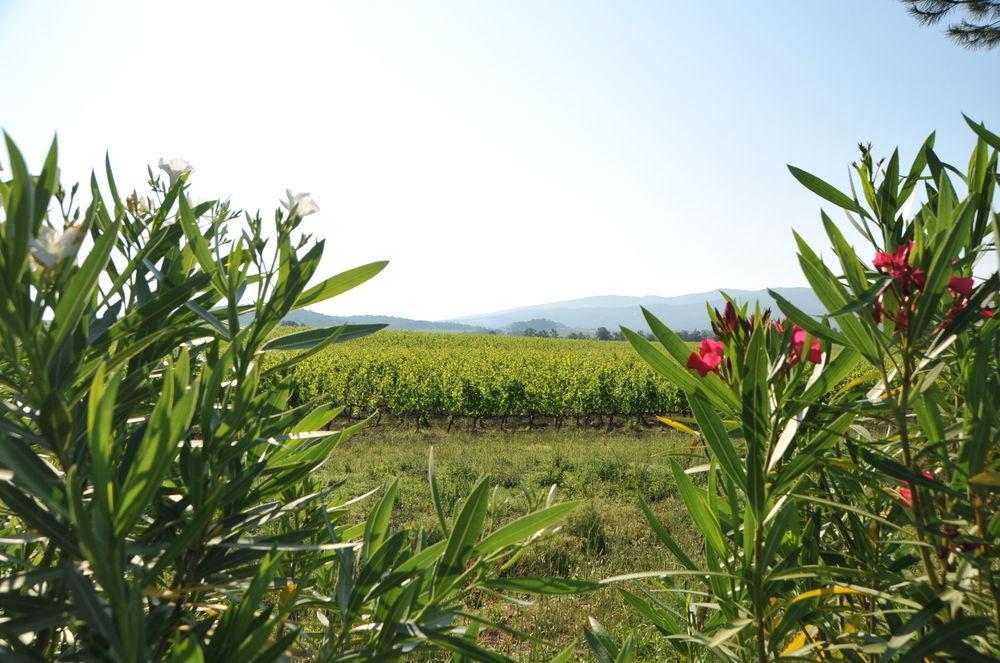 Tenuta Casabianca Murlo Dış mekan fotoğraf